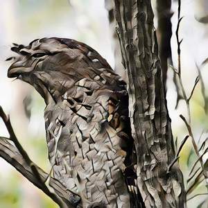 Seconds Of Lost Minds