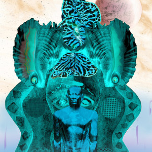 Aquatic Medusae Racing Arena