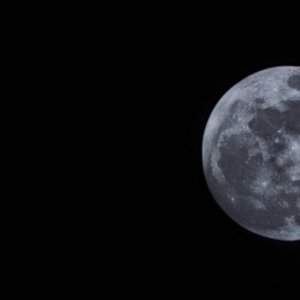 悟空的五百年之问