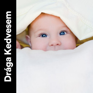 1 Hour of Mulberry Bush for Baby Bedtime, Pt. 29