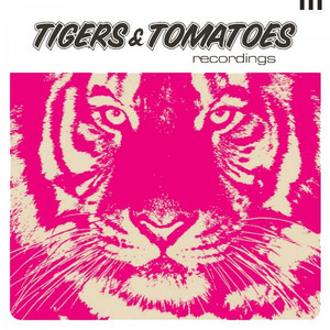 Into a Fantasy (DJ Thoka Remix)