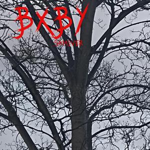 BXBY