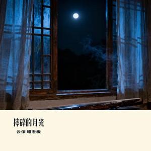 摔碎的月光