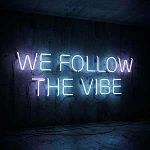 We Follow the Vibe