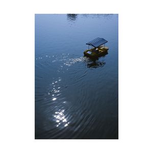 在1990年带你去南湖公园