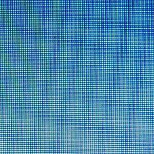 punken (BONUS) [GARDEN 2]