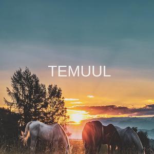 Temuul
