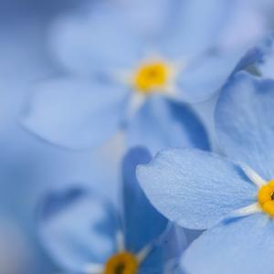 He regretted her refusal