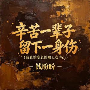 辛苦一辈子 留下一身伤（我真怕变老的那天女声dj）