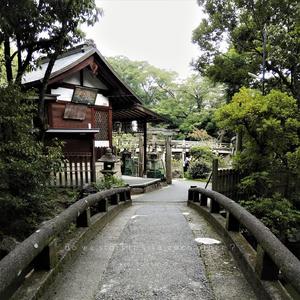 Do We Start To Like Each Other