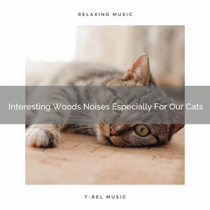 Stress Relieving Woods Noises Especially For Household Cats