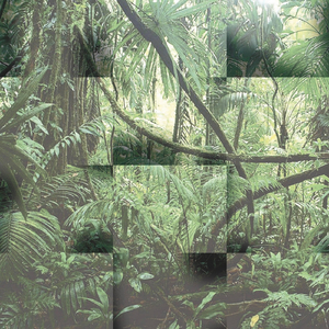 1__2233_455 (Tiger Balm Version) [feat. Sol Oosel, Eduardo Lopez & Alexromero3000]