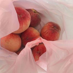 危险派对（女声版）