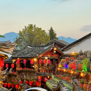 【FREE】"丽江水" Toosii X Gunna Type Beat