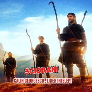 Calin Georgescu, Lider intelept