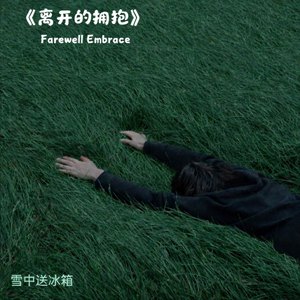 离开的拥抱 (全球发行)