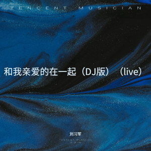 和我亲爱的在一起 (DJ版LIVE)