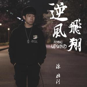 逆风飞翔