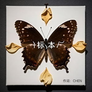 标本