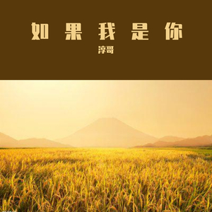 如果我是你
