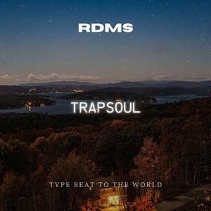 Chris Brown R&B Trapsoul Type Beat