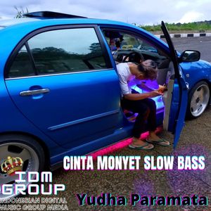 Cinta Monyet Slow Bass