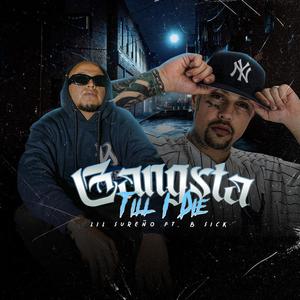 Gangsta Till I Die