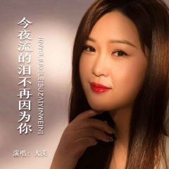 今夜流的泪不再因为你