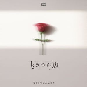 飞到你身边