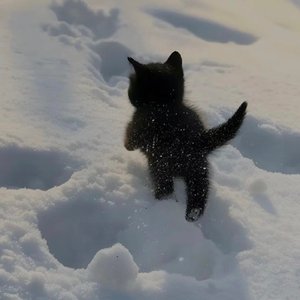 离开我的依懒.wav