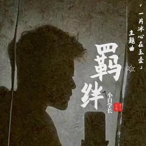 羁绊（影视剧《一片冰心在玉壶》主题曲》）