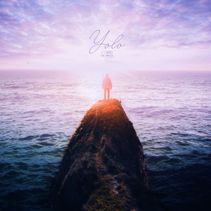 YOLO (Feat. BOiTELLO)