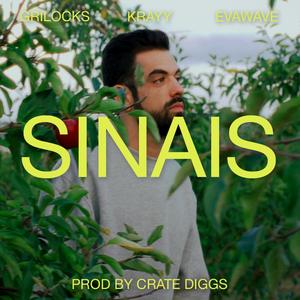 Sinais (feat. GriLocks, Krayy, EVAWAVE & Crate Diggs)