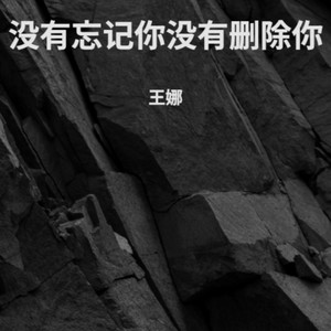 没有忘记你没有删除你