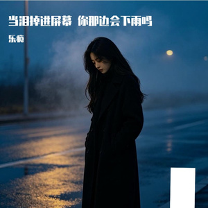 当泪掉进屏幕 你那边会下雨吗（抒情版）
