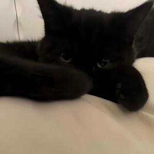 暗夜尽头的星空