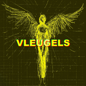 Vleugels
