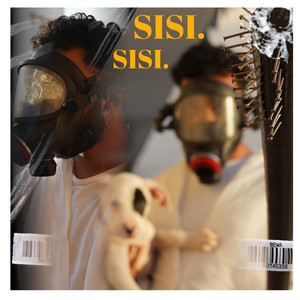 SiSi