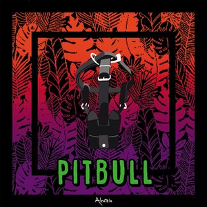Pitbull