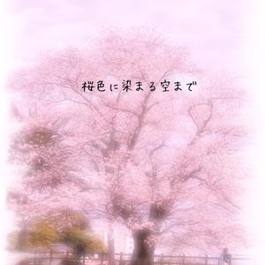 桜色に染まる空まで