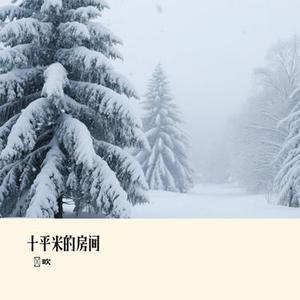 十平米的房间 (Remix)