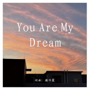 You Are My Dream 伴奏