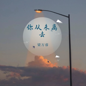 你从未离去