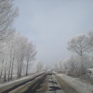 抬花轿（唢呐+架子鼓）