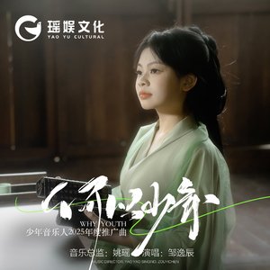 何以少年