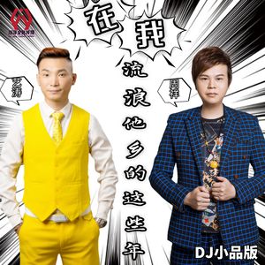 在我流浪他乡的这些年（DJ小品版）
