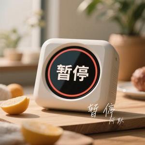 暂停 (Cover 回声岛)