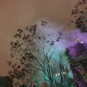 叶子（Cover 羽泉）