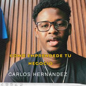 COMO EMPRENDER UN NEGOCIO