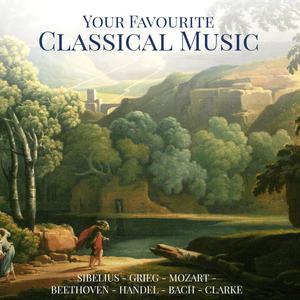 Eine Kleine Nachtmusik, K.525: Allegro